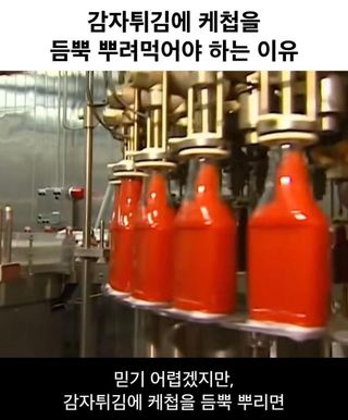 유머)싱글벙글 감자튀김에 케첩을 듬뿍 뿌려먹어야 하는 이유 