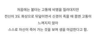 호러)기괴한 린도의 장례문화 