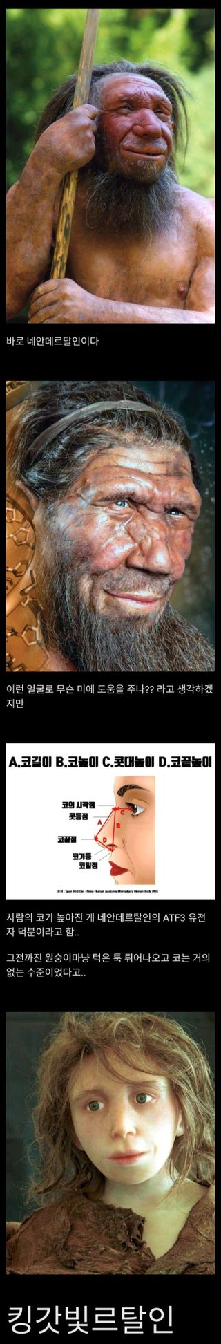 유머)의외로 사람의 미에 기준에 영향을 준 종..jpg 