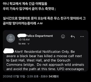 유머)학교에서 곰이랑 무스가 막고라 뜨고 있대 