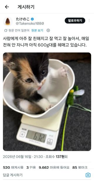 유머) 갑자기 나랑 결혼해줘서 고맙다는 남편 
