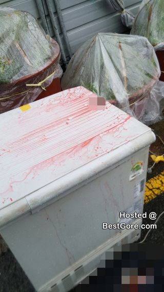 유머)워터마크 효과 