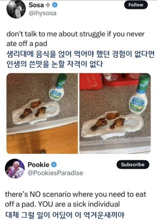 유머)앤 대체 뭔 인생을 살았는지 예측이 안 됨