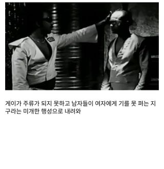 유머)게이 니거가 여자를 절멸시키고 게이 천국을 만드는 영화 