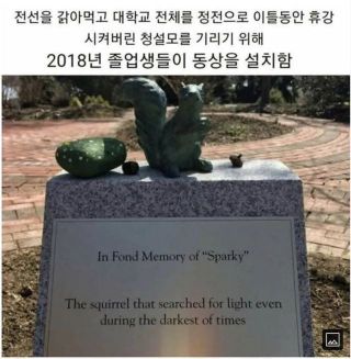 유머)청설모야 고맙다 
