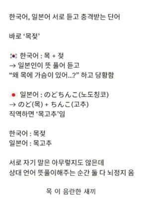 유머) 한국어, 일본어 서로 듣고 충격받는 단어 