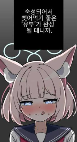 니코 마망