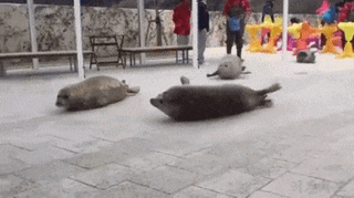 /u/MwiFFlOInMQhJgf2n4IU8KIWQXA3/images/1759504187626_b123c60f-0584-4485-8e2d-d491ad900367.gif