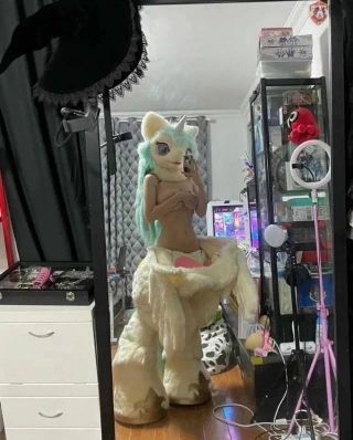 가슴 큰 퍼리