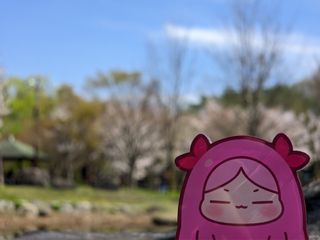 /u/PPGMTwPqFJT0HO296F9aW8l7E1S2/images/1775535946166_32ac996c-791a-4dfb-aa99-f749e42f9fe0.jpg