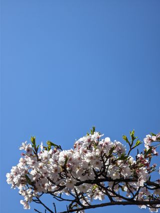 /u/PPGMTwPqFJT0HO296F9aW8l7E1S2/images/1775536107920_2a28b294-5730-43d5-b8e3-ee899da702c6.jpg