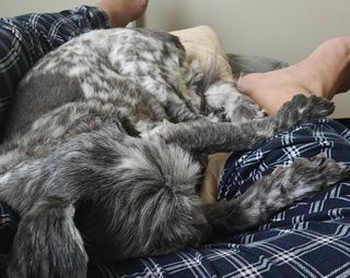 /u/Pibb7Y9vMRfLALzoGizqxmA3X5b2/images/1778567459861_13b1f66f-9b71-4a72-8c6f-a5a88cbaf653.jpg