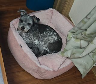 /u/Pibb7Y9vMRfLALzoGizqxmA3X5b2/images/1778567459862_94a267b6-aef2-408e-8fea-a7a572db1a56.jpg