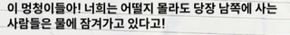니케 스포) 05 랩쳐 침공 전 무슨 일이 있었을까? 진화와 공존