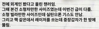 니케 스포) 12 처음에는.. 퀸은 인류를 공격할 생각이 없었다 (장문O)