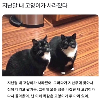 /u/TDMKDqn37rcTbyAQHtgSKZh0m0B2/images/1775046799355_39941c5a-1f75-4cf3-a323-2e7b98f23ce3.png