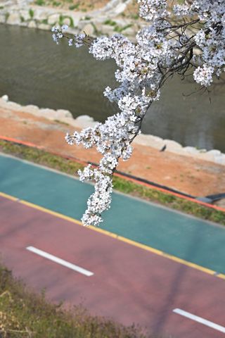 /u/TDMKDqn37rcTbyAQHtgSKZh0m0B2/images/1775307340669_d155c0b3-c443-4349-90cf-a7eb66b56869.JPG