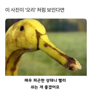 /u/TDMKDqn37rcTbyAQHtgSKZh0m0B2/images/1776800977078_f787c496-a319-4f44-bd9b-48cb658a6c2d.png
