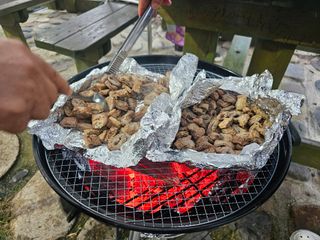 /u/VF35AR5a8AZoWF5zquFnq7EtPBx2/images/1759484335619_4ae51ae0-1c01-4677-baaa-792a9cd13fc6.jpg