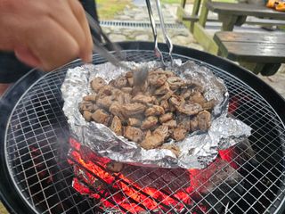 /u/VF35AR5a8AZoWF5zquFnq7EtPBx2/images/1759484335621_be2382b9-1e1a-400f-abdd-0d33306131f1.jpg