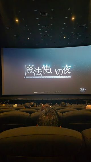 발푸 보러 왔는데