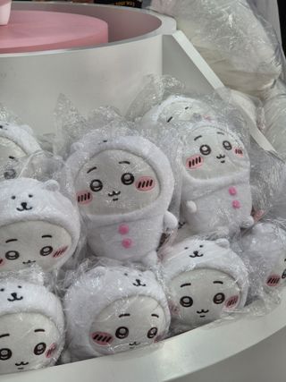 오늘도 성수!