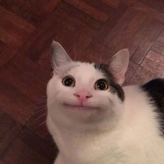 /u/YCTGIa2B70PksMAYmw7zX4g4nbH3/images/1776875301497_f1de107f-fa04-421d-ac18-d60e1e441126.webp
