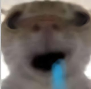 /u/cotejxbRniVjCRxB3uZ60i216x23/images/1779247765717_2f7eae1c-f376-4d8f-830f-0b7068760fc8.jpg