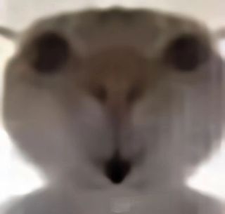/u/cotejxbRniVjCRxB3uZ60i216x23/images/1779247770422_94377532-a058-4d4a-9dd3-ea28256803b9.jpg