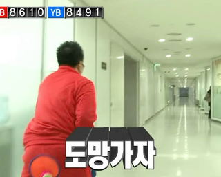 1.1빙구...봤어?