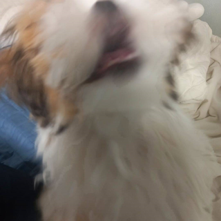 /u/bivsd2RKMMcDlSiLssdVkZyH5Uw1/images/1777292930147_ca8d5fee-0557-4294-9088-736449a5590a.png