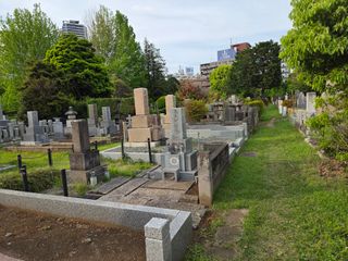 /u/dpcHUP2fWIb2SFznz8wGhhp8R7Q2/images/1777708335573_cef3087d-bf40-42f4-ab1a-ba6cdaf0c3c4.jpg