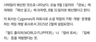 월드플리퍼 개발사 헤체