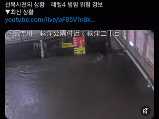종맨 살아있음?