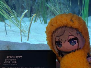 /u/fMPw3RIcXuPvWHPnI61zS1xWLNx1/images/1777190094503_05751b8f-6db8-4ba1-ba3f-d53e6f5e0d07.jpg