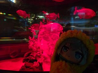 /u/fMPw3RIcXuPvWHPnI61zS1xWLNx1/images/1777190155721_6d9cefc0-94bc-4a2c-922d-3173754fbdb5.jpg