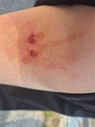 /u/fA7TU1er2uQ6iHluqxQCtrTjlKY2/images/1775113087573_76167ad7-c934-42d6-974f-be5ada15cb4c.jpg