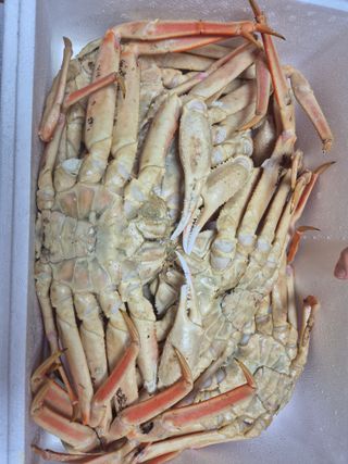 저녁