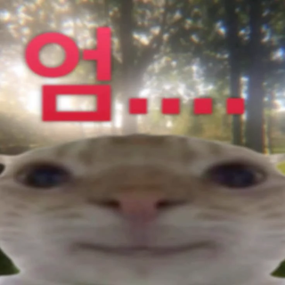 마이고랑 아베무 정주행하고 옴