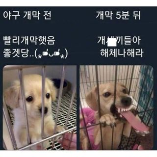 와 종맨 방송 너무 기대된다~