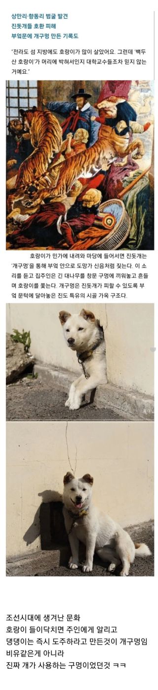 /u/jB4XzxgmevMLvYNVVhUQfiSnL263/images/1778425508034_2ede89d9-b231-4f9f-8ce7-1d4453ee91e7.webp