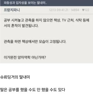 나 이거만큼 양자역학 잘 설명한 거 못 봄
