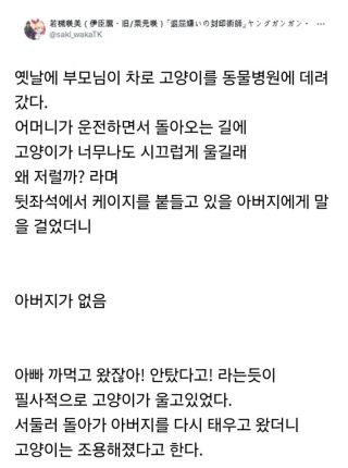아버지를 버리고 온 줄 안 고양이