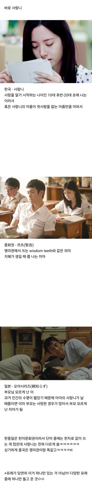 한중일이 서로 전혀 다르게 말하는 단어