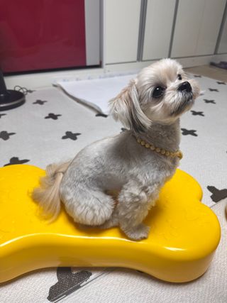 너도 나도 운동