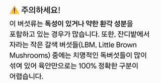 오늘 먹은 버섯