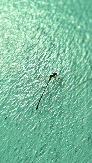 /u/mH2pC8luf1YrzBCDISiMoFCmH4V2/images/1756454672938_74d03db8-c4bb-4201-87de-0e94bd5fdf96.jpg