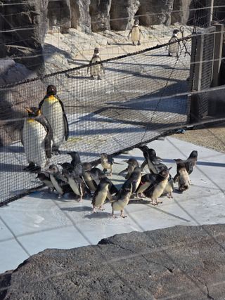 /u/nD0buOV2GfOyzE4sxPuTarv9jjJ2/images/1776493400476_9983defe-7383-4abd-bee3-1ddd80756e23.jpg