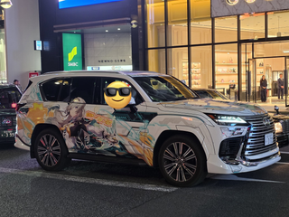 개조띠 차