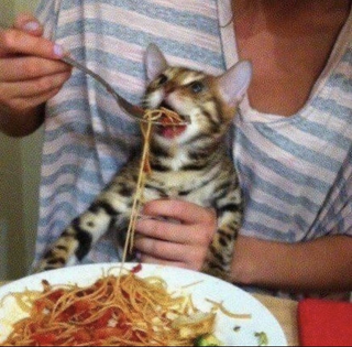 밥묵자